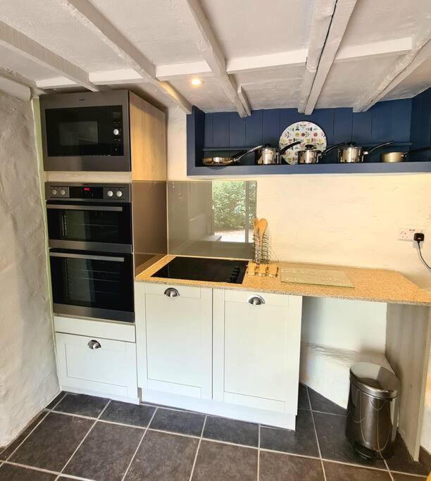 Mill Cottage Garden Annexe نيوتن أبوت المظهر الخارجي الصورة
