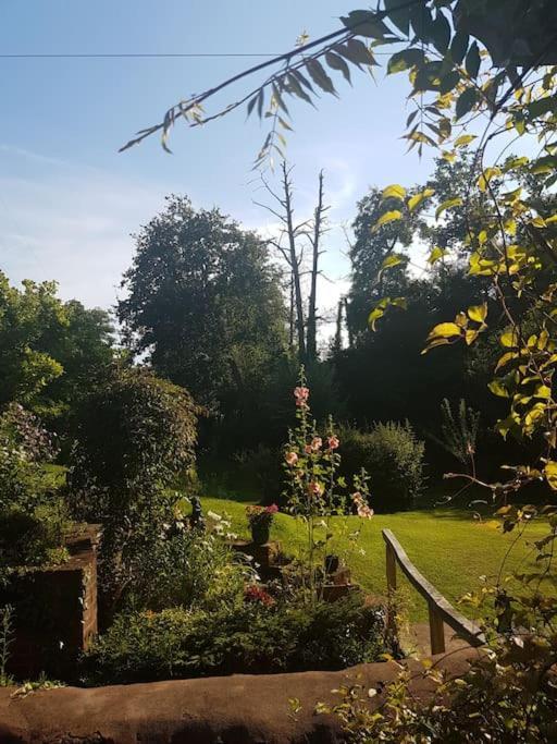 Mill Cottage Garden Annexe نيوتن أبوت المظهر الخارجي الصورة