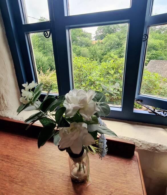 Mill Cottage Garden Annexe نيوتن أبوت المظهر الخارجي الصورة
