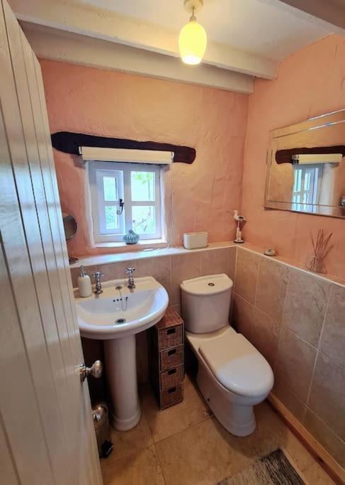 Mill Cottage Garden Annexe نيوتن أبوت المظهر الخارجي الصورة
