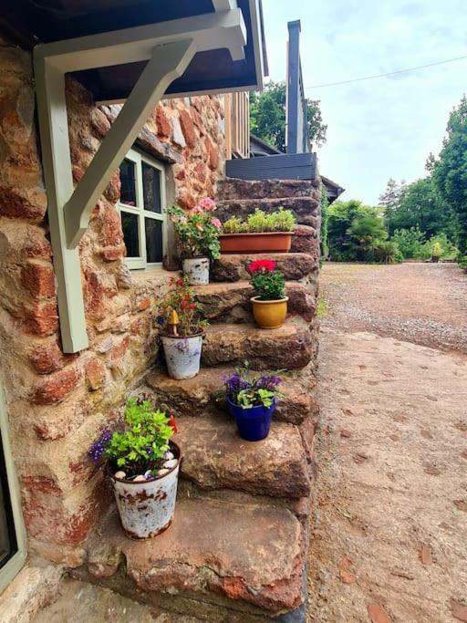 Mill Cottage Garden Annexe نيوتن أبوت المظهر الخارجي الصورة
